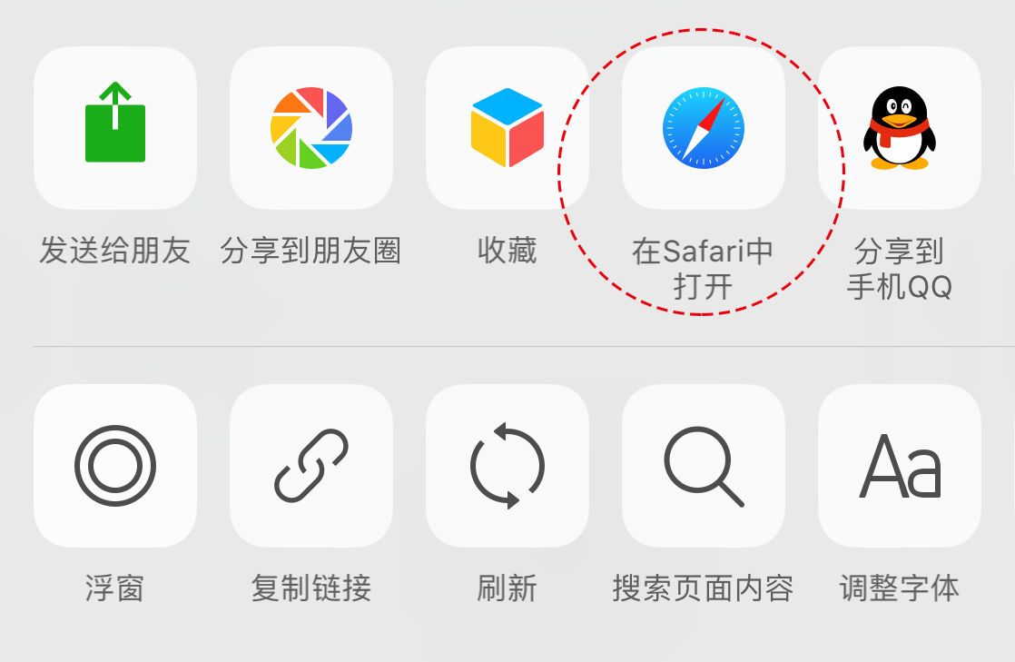 嗖嗖加速器在Safari中打开